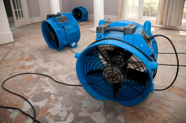 Best Water damage restoration company  in Eden, TX