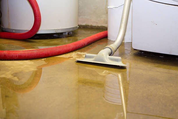 Best Water damage cleanup near me  in Eden, TX