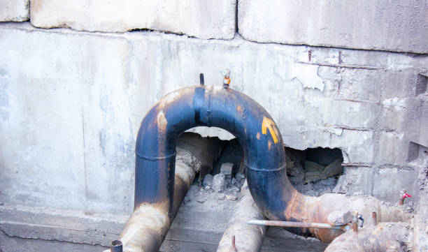 Best Flood damage cleanup  in Eden, TX