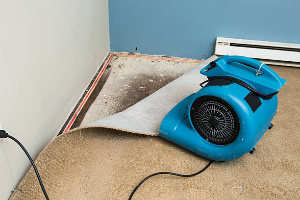 Best Local water damage restoration  in Eden, TX